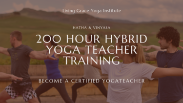 Introduction video to the 200-Hour Hybrid Yoga Teacher Training
